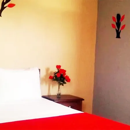 Hotel Colombia Real - 3*